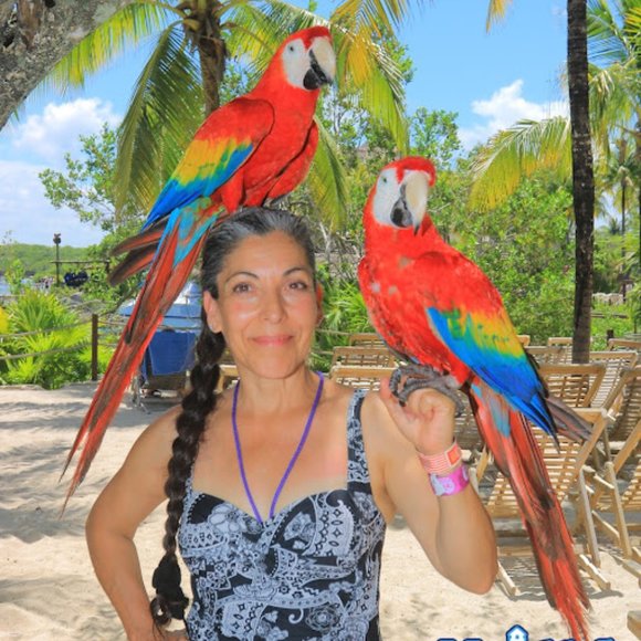 Meet your Posher, Petra - Picture 1 of 1